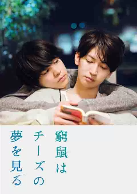 穷途鼠的奶酪梦